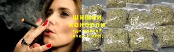крисы Киренск