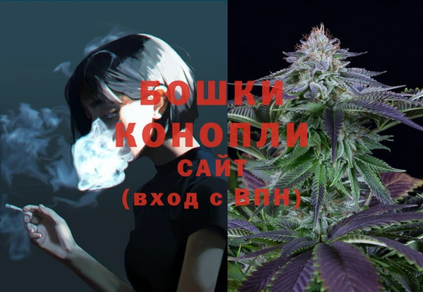 крисы Киренск