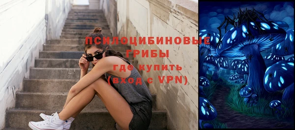 крисы Киренск