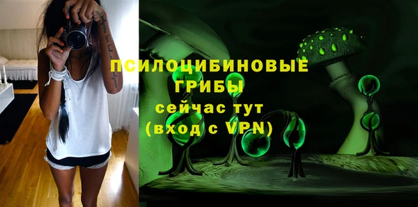крисы Киренск