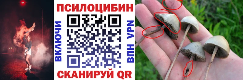 Купить  Бирск  Галлюциногенные грибы прущие грибы 